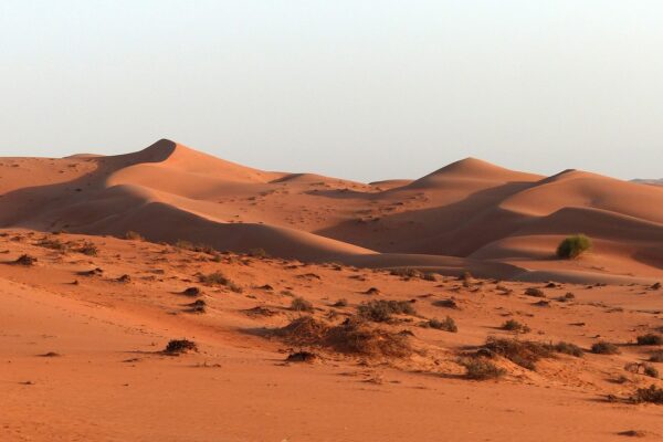 oman desert