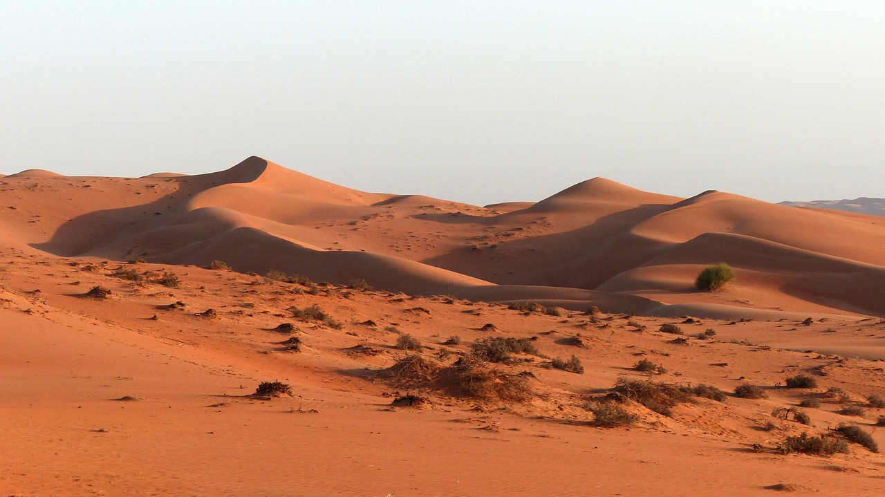 oman desert