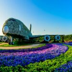 Dubai Miracle Garden